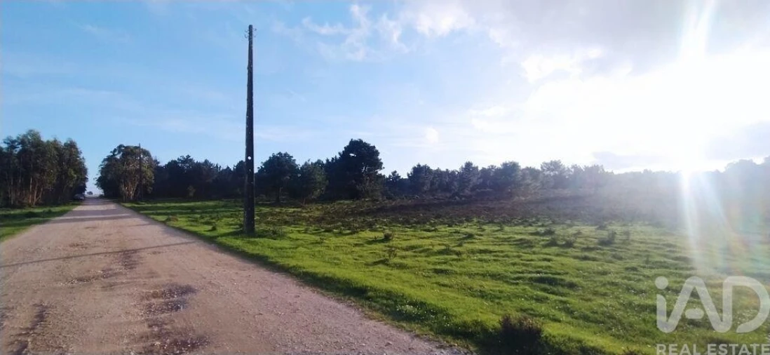Terreno para Venda em Vila do Bispo e Raposeira Foto 5