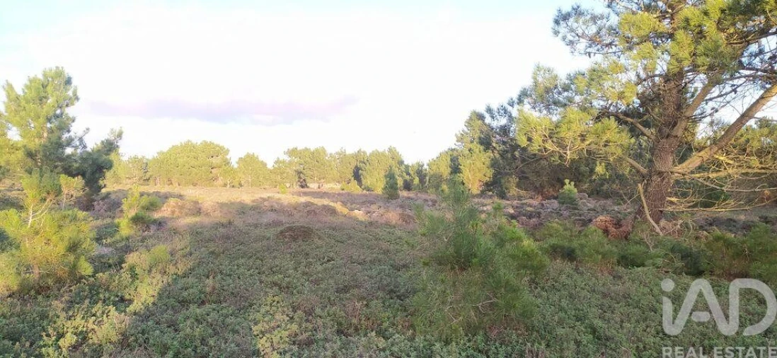 Terreno para Venda em Vila do Bispo e Raposeira Foto 22