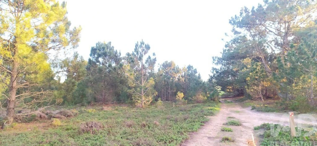 Terreno para Venda em Vila do Bispo e Raposeira Foto 21