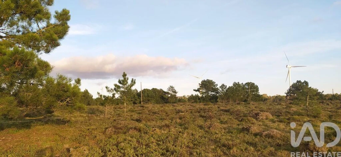 Terreno para Venda em Vila do Bispo e Raposeira Foto 10