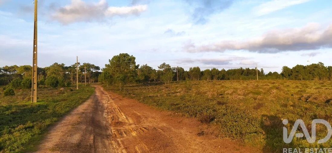 Terreno para Venda em Vila do Bispo e Raposeira Foto 15
