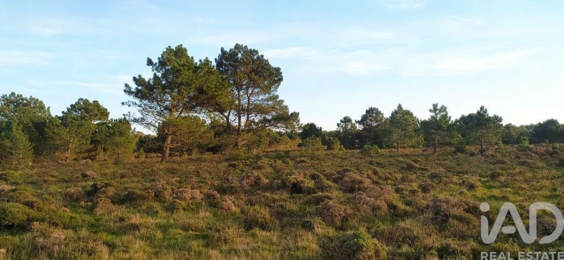 Terreno para Venda em Vila do Bispo e Raposeira Foto 17