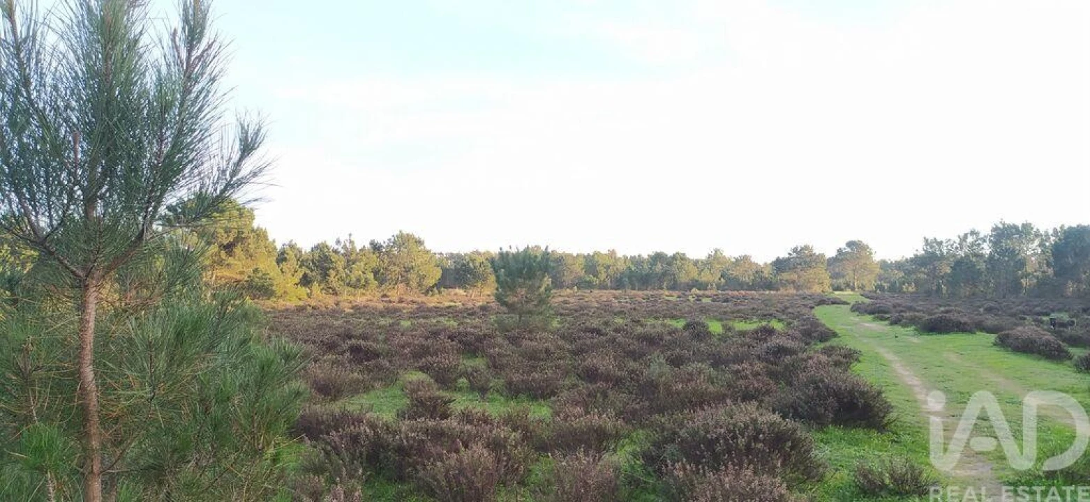 Terreno para Venda em Vila do Bispo e Raposeira Foto 28