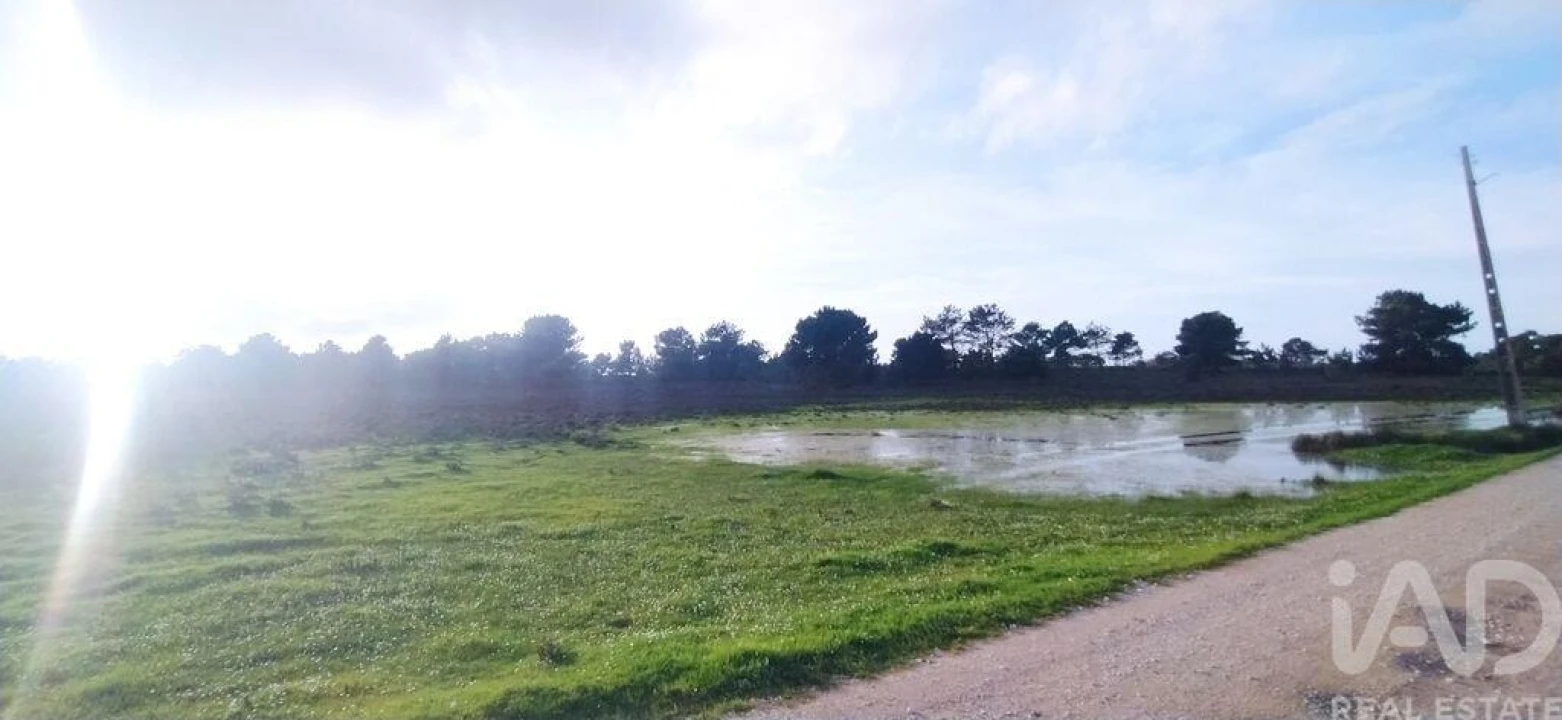 Terreno para Venda em Vila do Bispo e Raposeira Foto 4