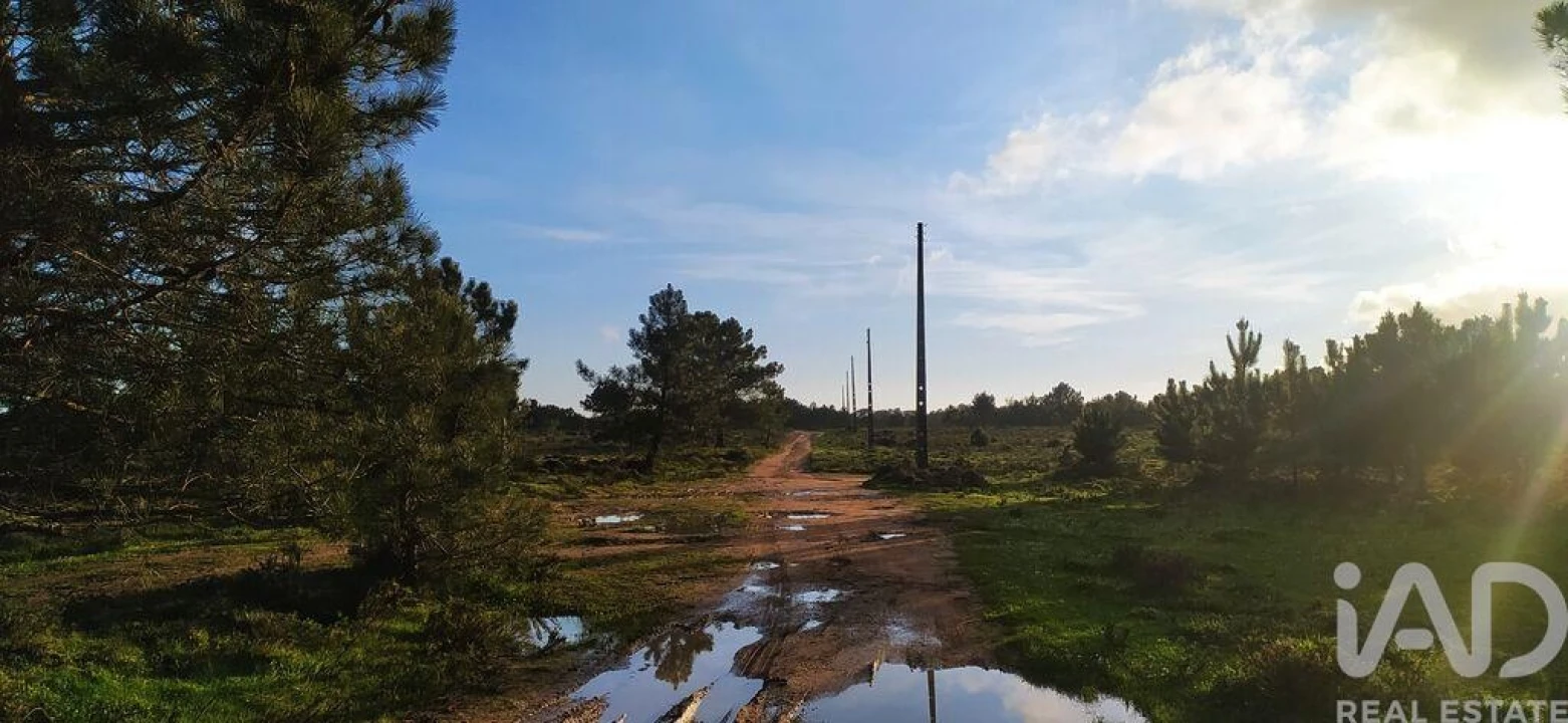 Terreno para Venda em Vila do Bispo e Raposeira Foto 8