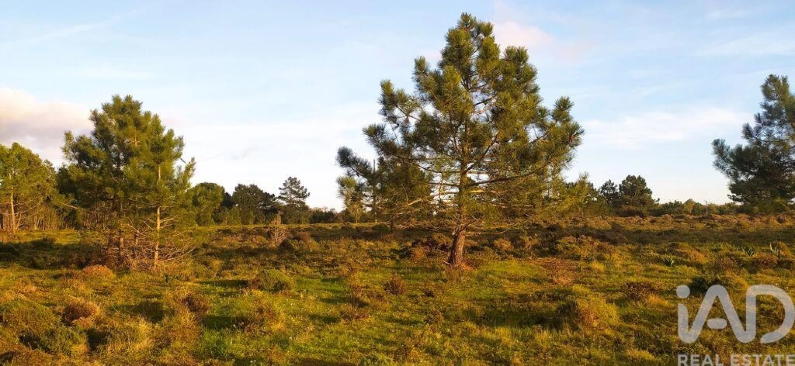 Terreno para Venda em Vila do Bispo e Raposeira Foto 3