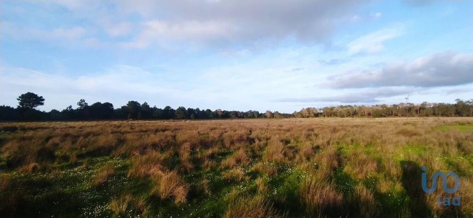 Terreno para Venda em Vila do Bispo e Raposeira Foto 5