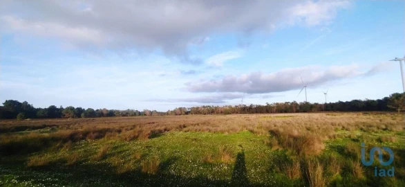Terreno para Venda em Vila do Bispo e Raposeira
