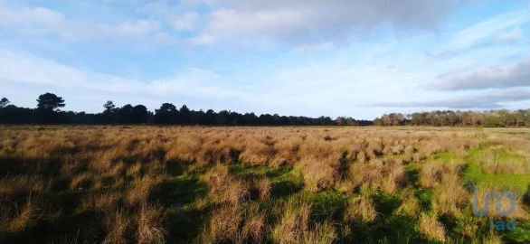 Terreno para Venda em Vila do Bispo e Raposeira