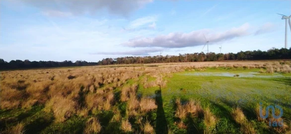 Terreno para Venda em Vila do Bispo e Raposeira