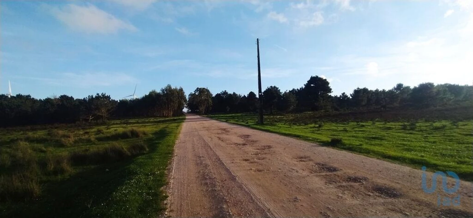 Terreno para Venda em Vila do Bispo e Raposeira Foto 7