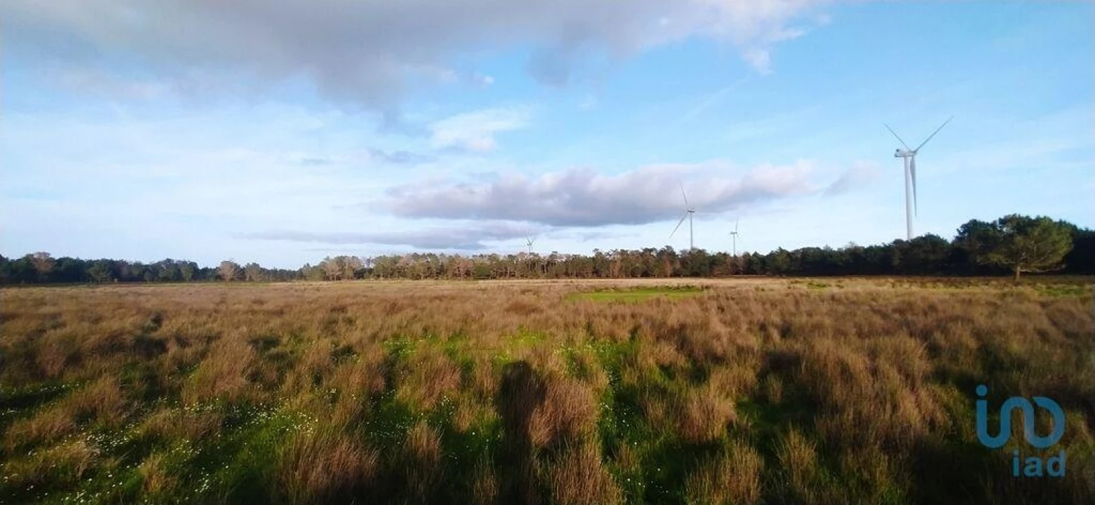Terreno para Venda em Vila do Bispo e Raposeira Foto 6