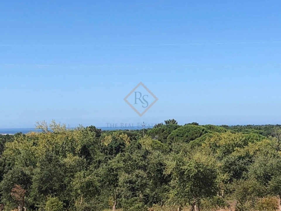 Terreno para Venda em Melides Foto 7