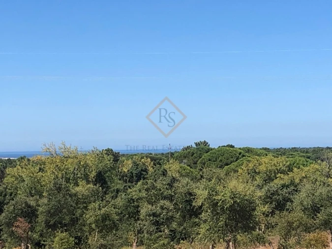 Terreno para Venda em Melides Foto 7