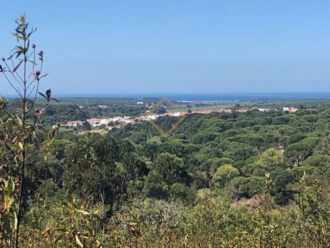 Terreno para Venda em Melides Foto 6
