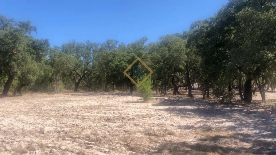 Terreno para Venda em Melides Foto 4