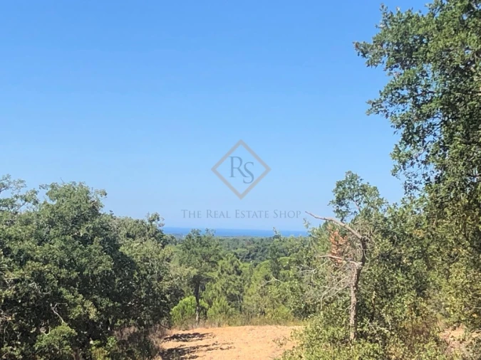 Terreno para Venda em Melides Foto 3