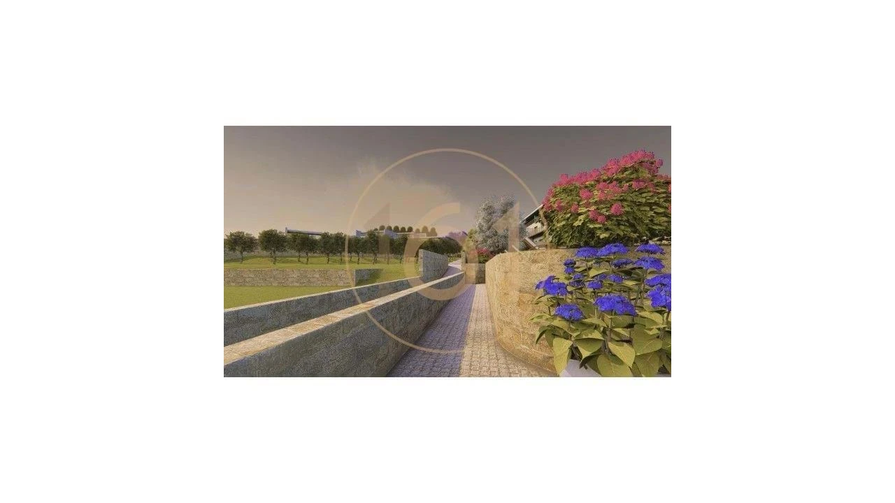 Terreno para Venda em Oliveira do Douro Foto 13