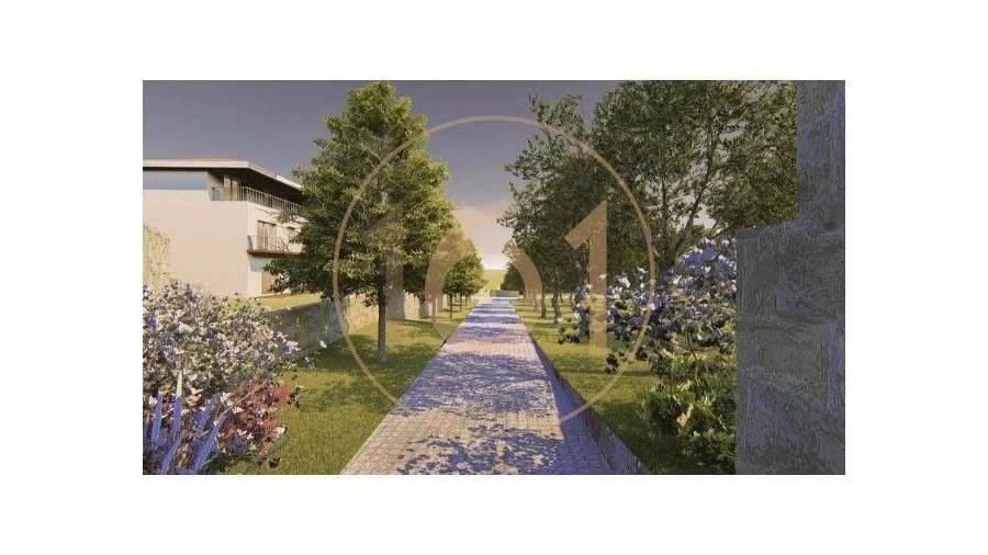 Terreno para Venda em Oliveira do Douro Foto 9