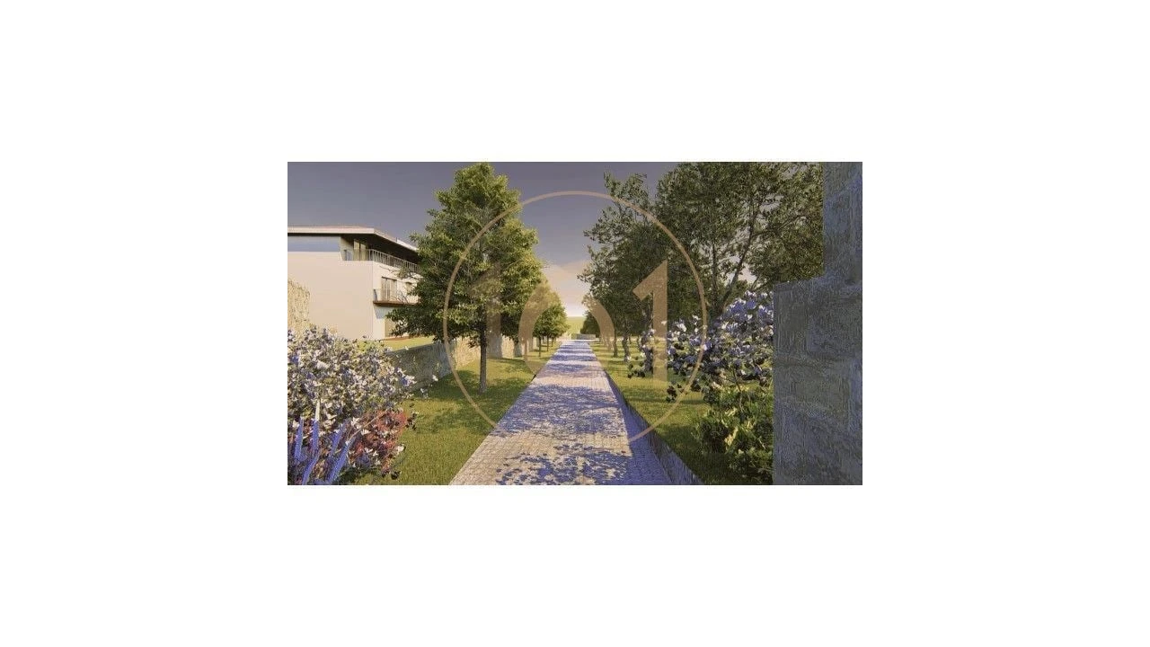 Terreno para Venda em Oliveira do Douro Foto 9