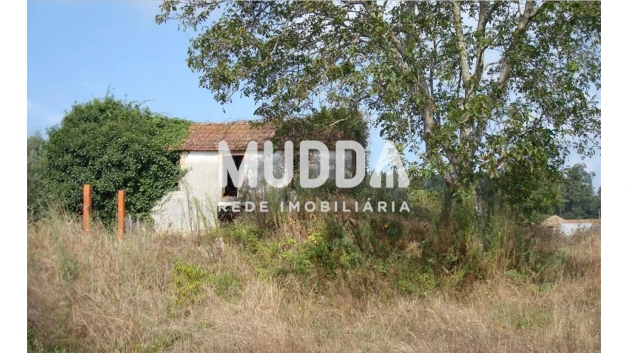 Moradia T2 para Venda em Alquerubim Foto 2
