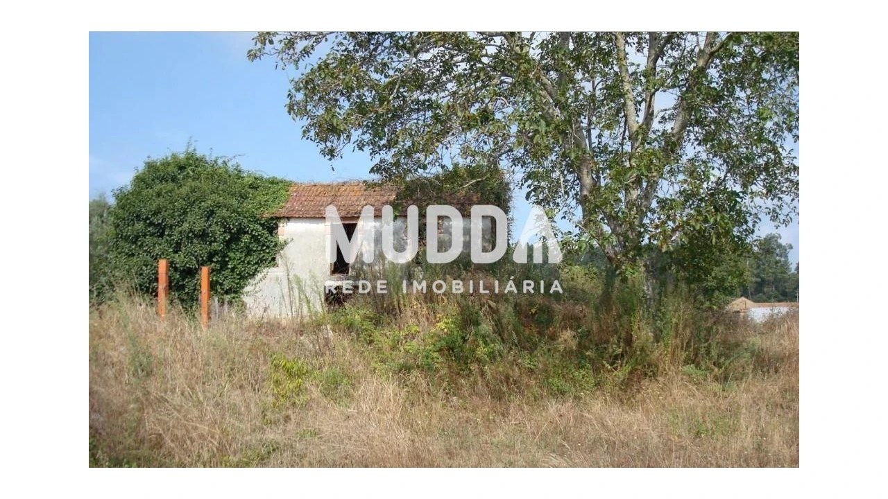 Moradia T2 para Venda em Alquerubim Foto 2