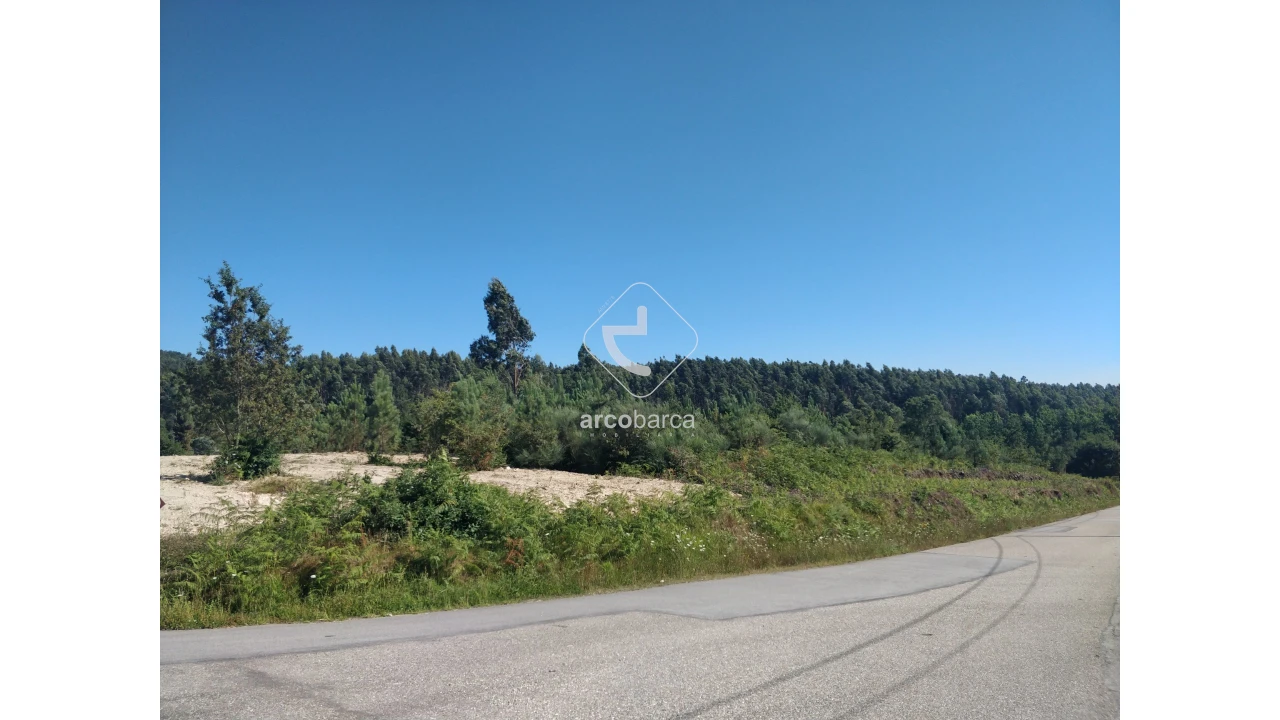 Terreno para Venda em Romarigães Foto 12