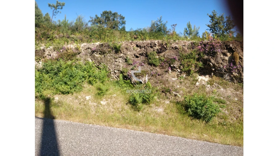 Terreno para Venda em Romarigães Foto 20