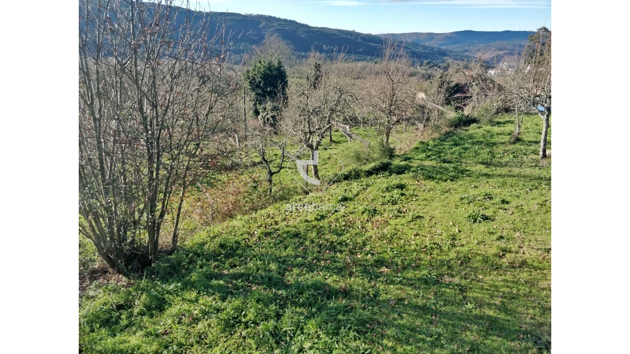 Terreno para Venda em Coura Foto 7