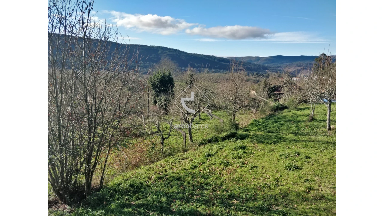 Terreno para Venda em Coura Foto 8