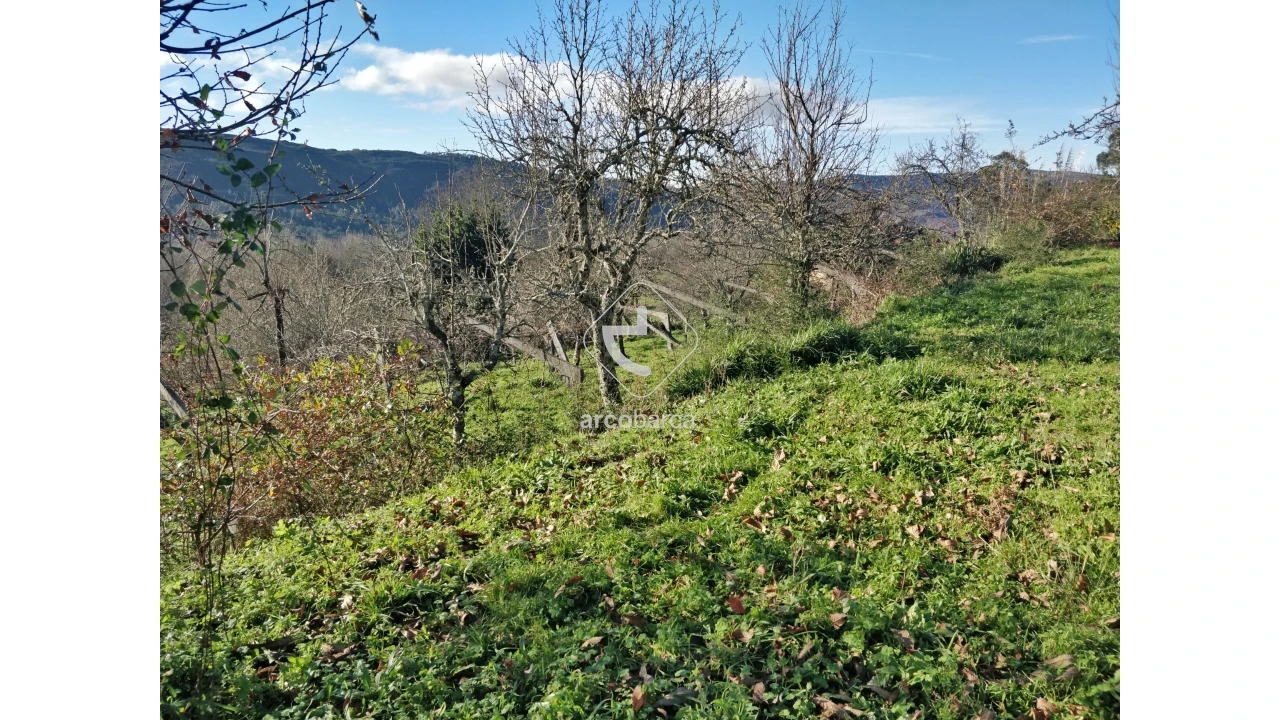 Terreno para Venda em Coura Foto 5