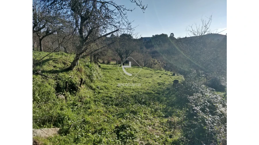 Terreno para Venda em Coura Foto 1