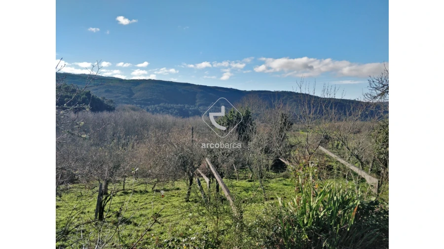 Terreno para Venda em Coura Foto 4