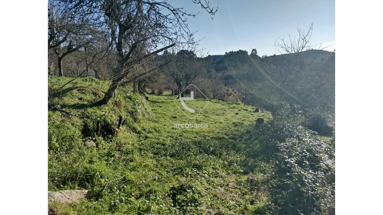 Terreno para Venda em Coura Foto 1