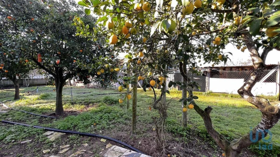 Moradia T2 para Venda em Palmela Foto 9