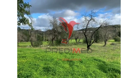 Terreno para Venda em Paderne
