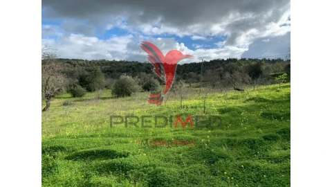 Terreno para Venda em Paderne