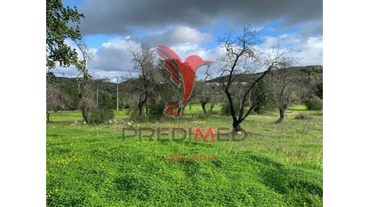 Terreno para Venda em Paderne Foto 8
