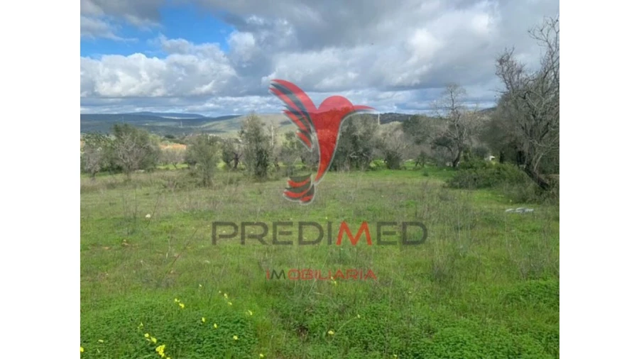 Terreno para Venda em Paderne Foto 11