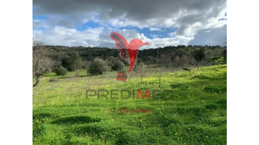 Terreno para Venda em Paderne Foto 9