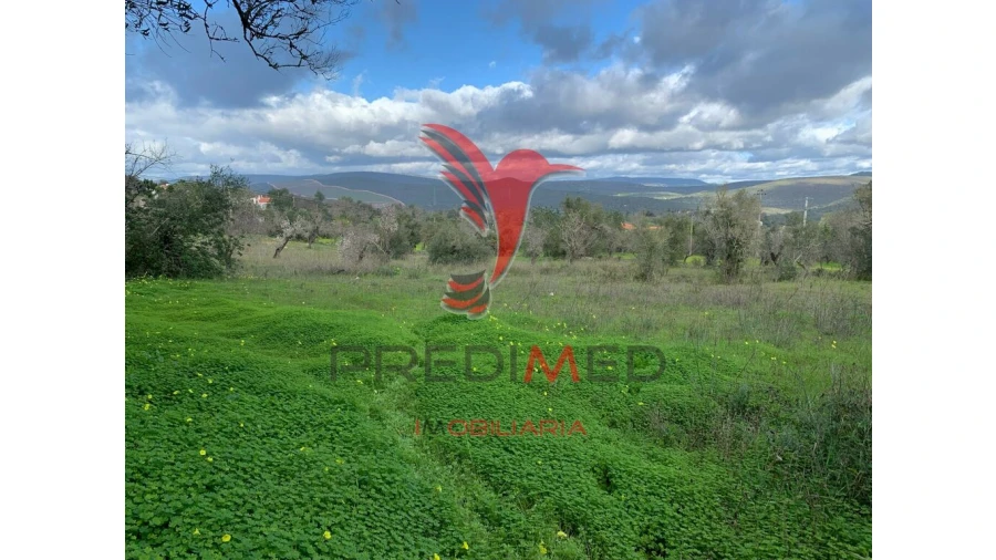 Terreno para Venda em Paderne Foto 10