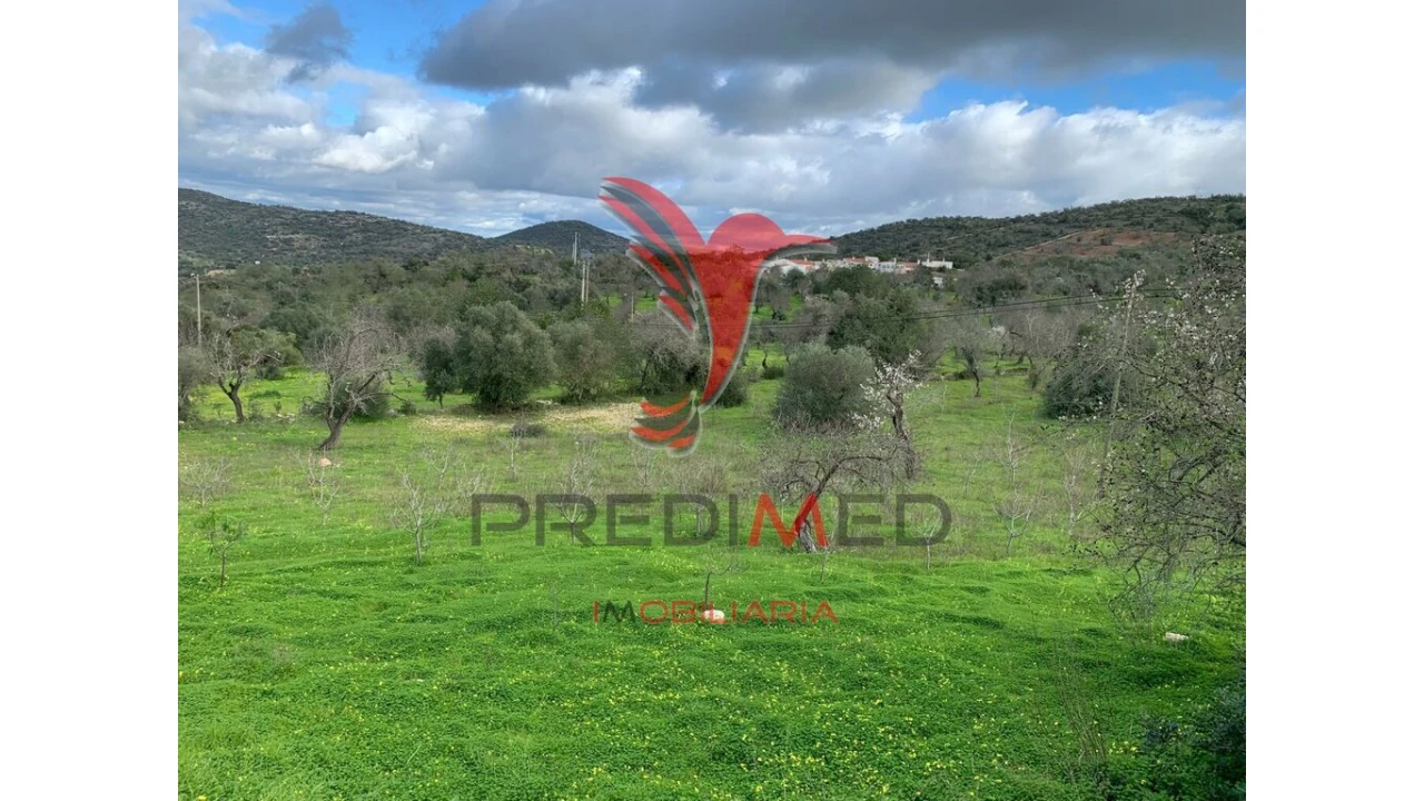 Terreno para Venda em Paderne Foto 12