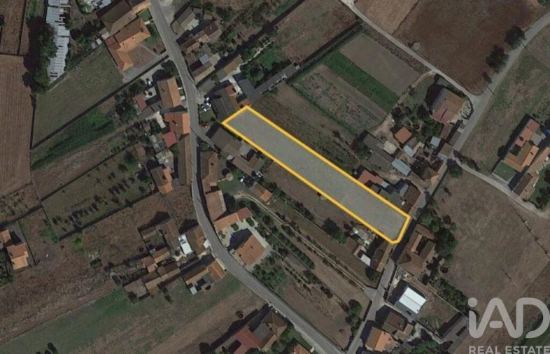 Terreno para Venda em Monte Real e Carvide Foto 8