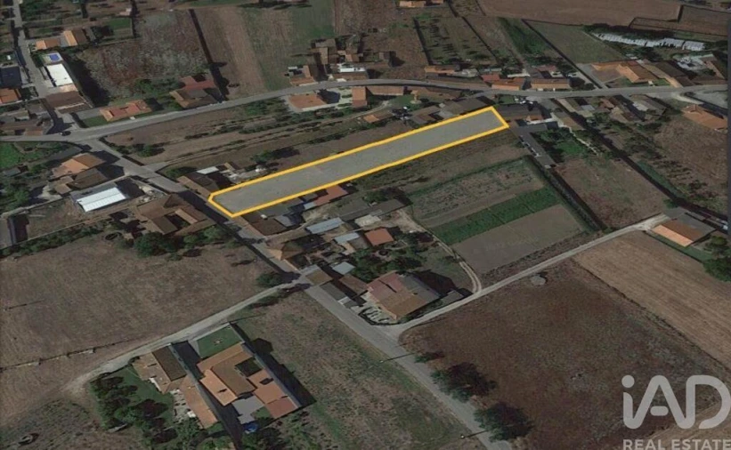 Terreno para Venda em Monte Real e Carvide Foto 11