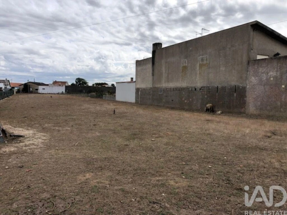 Terreno para Venda em Monte Real e Carvide Foto 4
