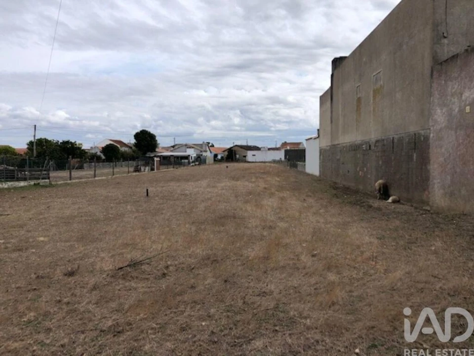 Terreno para Venda em Monte Real e Carvide Foto 2