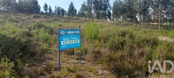 Terreno para Venda em Pedrogão Grande