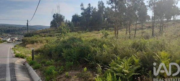 Terreno para Venda em Pedrogão Grande