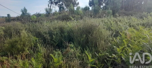 Terreno para Venda em Pedrogão Grande