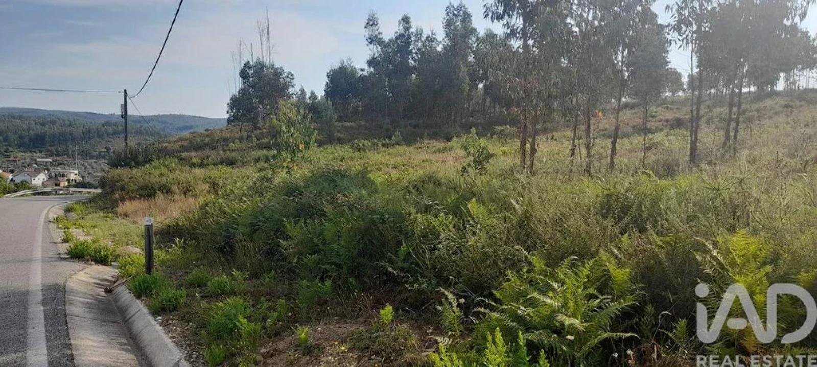 Terreno para Venda em Pedrogão Grande Foto 1